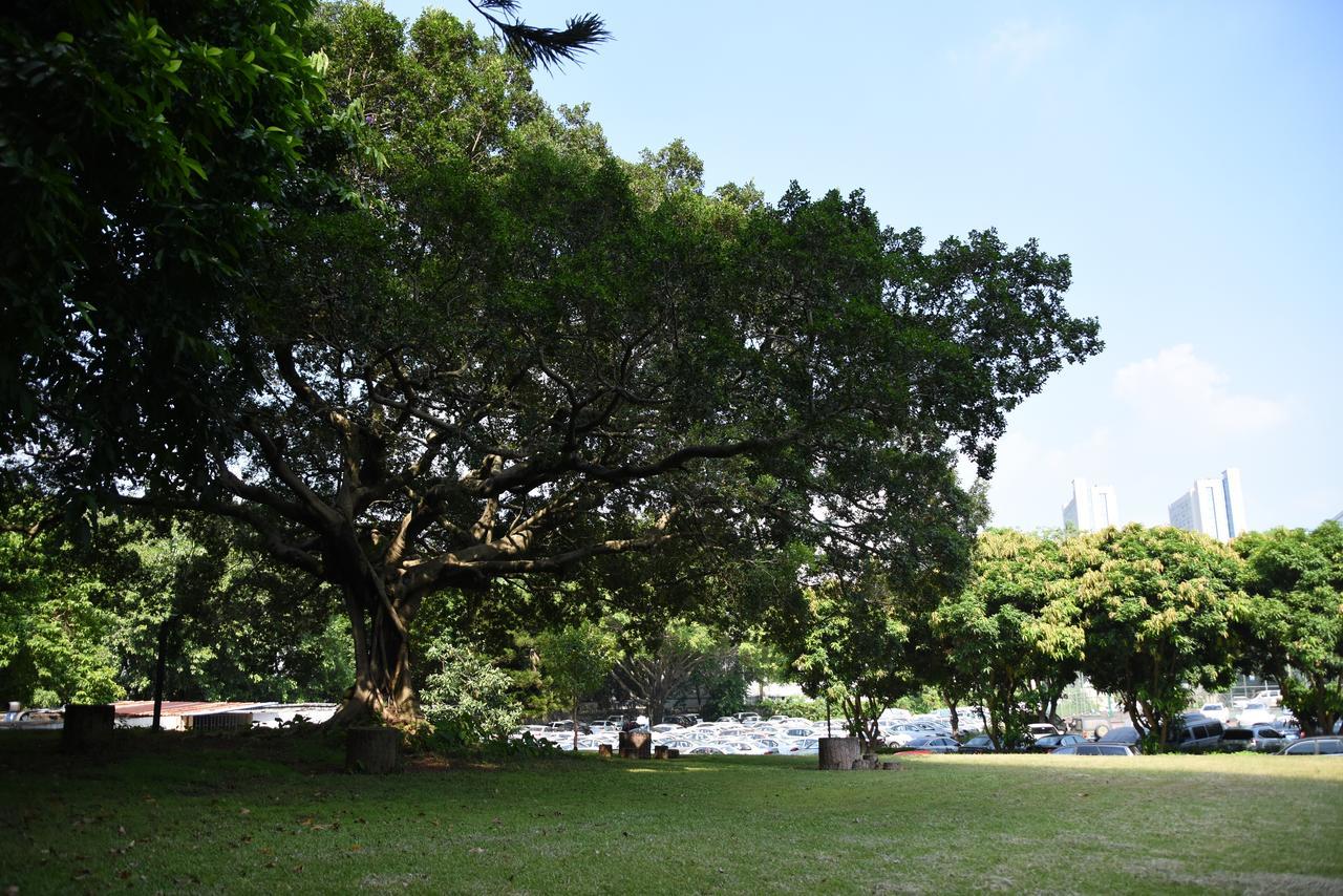 Beilingju Hotel Shenzhen Bagian luar foto